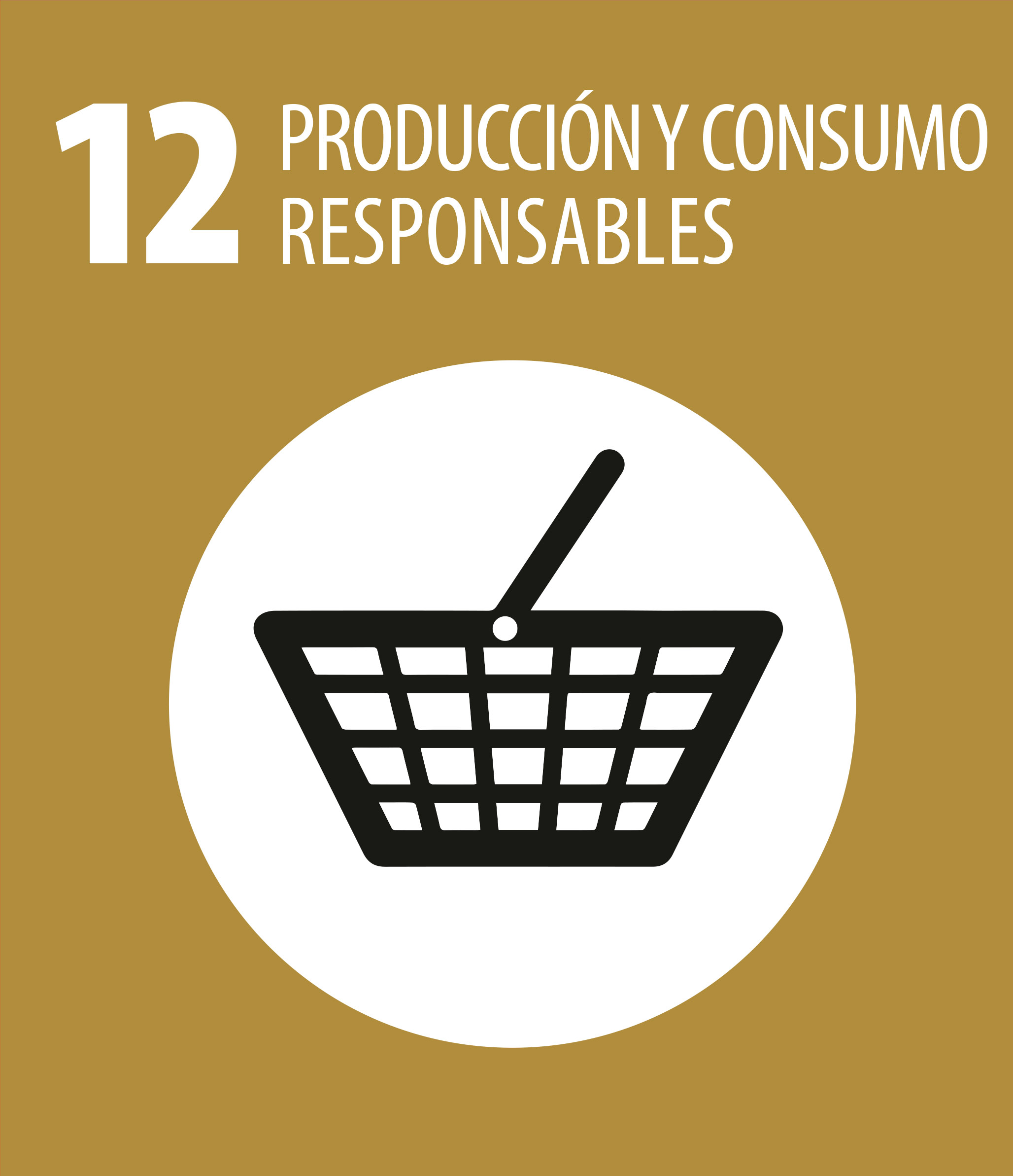 ODS 12 Produccion y consumo responsables
