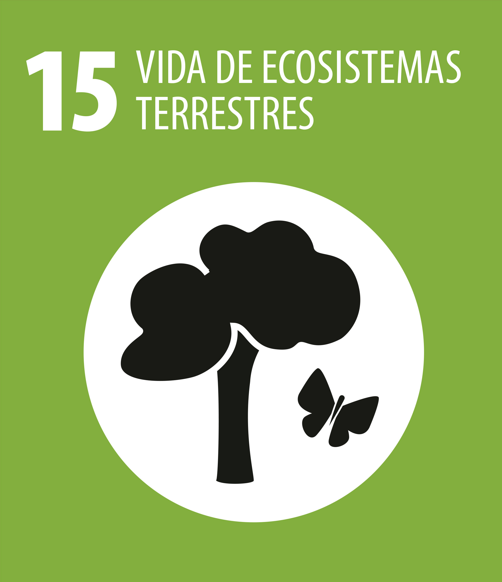 ODS 15 Vida ecosistemas terrestres